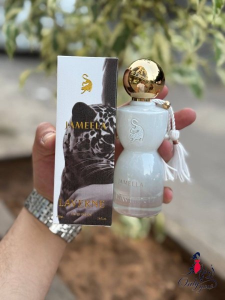ابيض